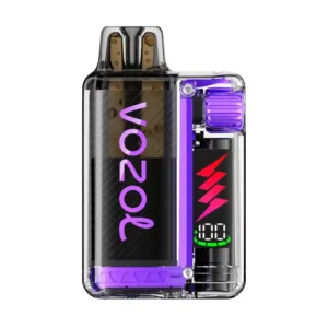 Vozol Vista Plug Blueberry Sour Raspberry Disposable Vape — 20mg