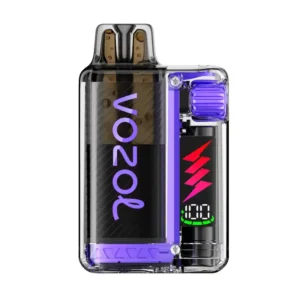 Vozol Vista Plug Grape Ice Disposable Vape — 20mg