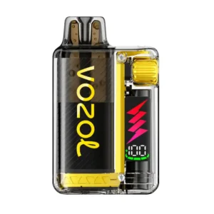 Vozol Vista Plug Mango Ice Disposable Vape — 20mg